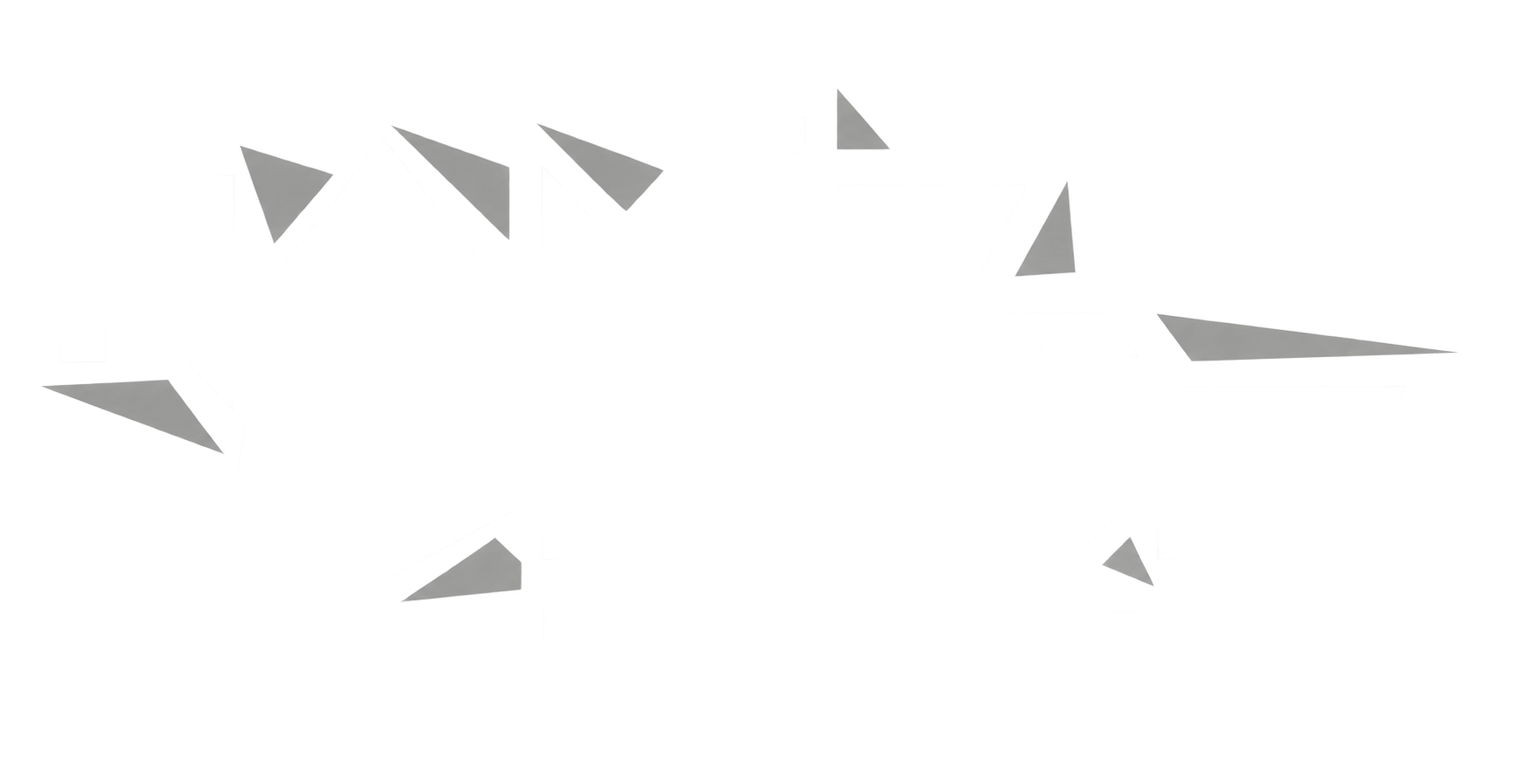 Hamieverse Foundation